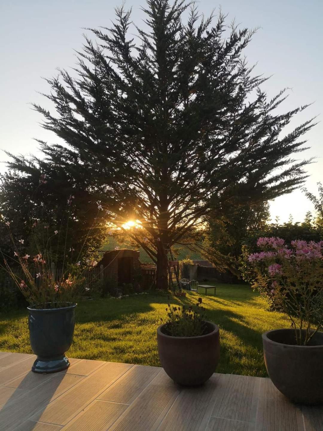 Au Coeur De Mortagne, Un Balcon Sur Le Perche Villa Bagian luar foto