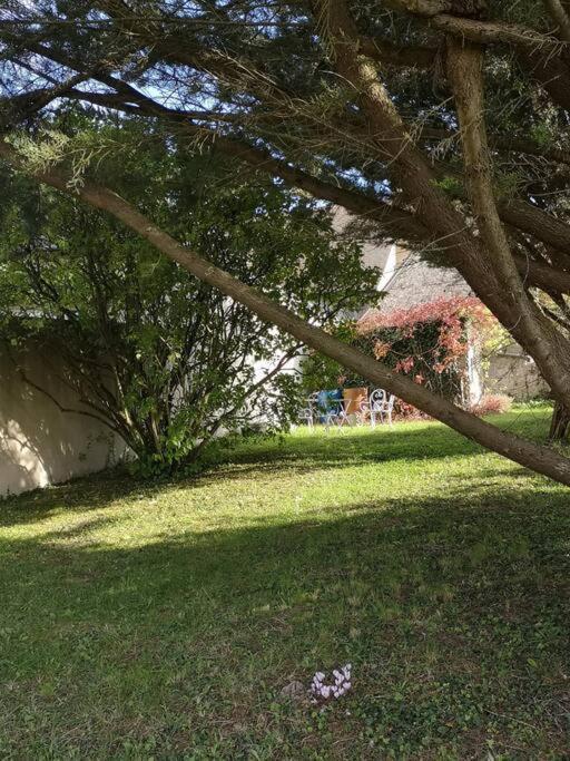 Au Coeur De Mortagne, Un Balcon Sur Le Perche Villa Bagian luar foto